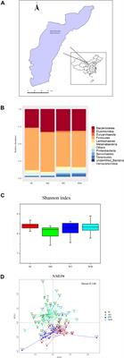 Seasonal Variation and Sexual Dimorphism of the Microbiota in Wild Blue Sheep (Pseudois nayaur)